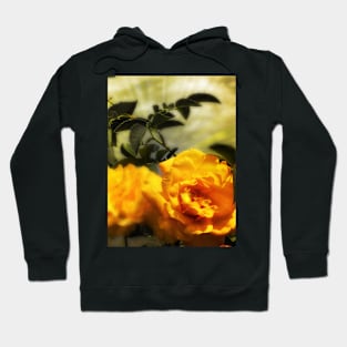 Yellow roses floral with angelic sky Hoodie